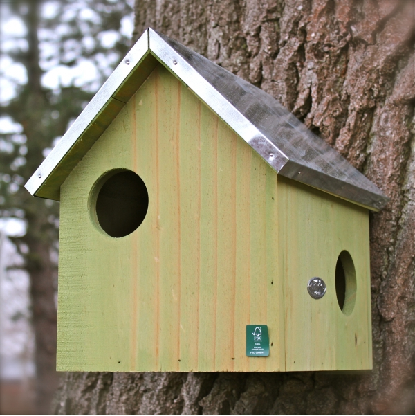 Hilfreiche Tipps zum Anbringen und Aufhänen von Nistkästen Vogel und